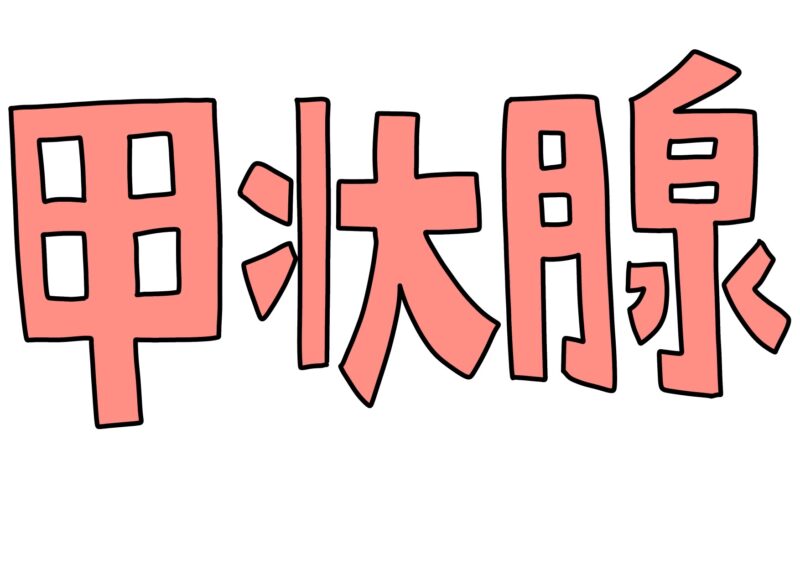 女性の約3〜10%が罹患している橋本病（慢性甲状腺炎）について徹底解説！のアイキャッチ画像