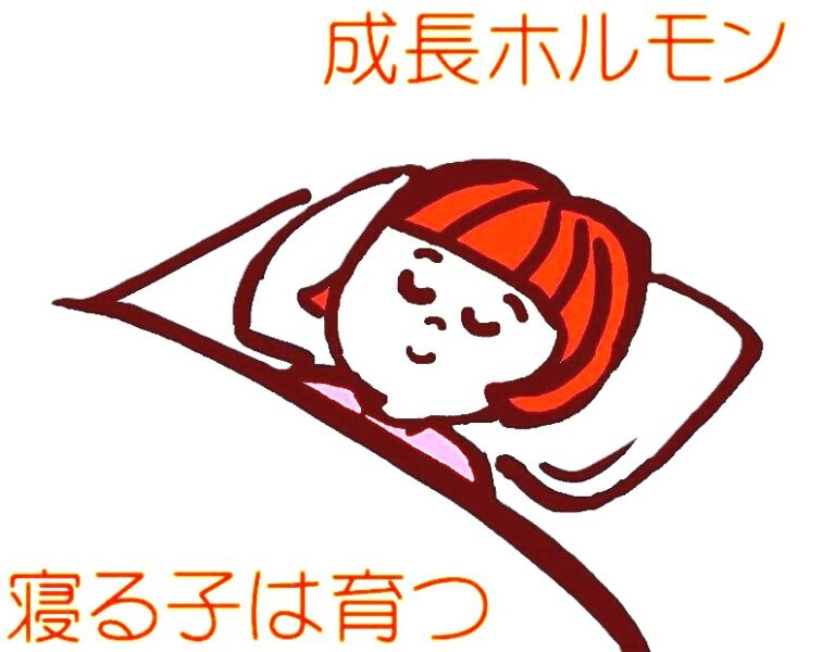 大人にも成長ホルモンが必要?成人成長ホルモン分泌不全症(AGHD)を解説!のアイキャッチ画像