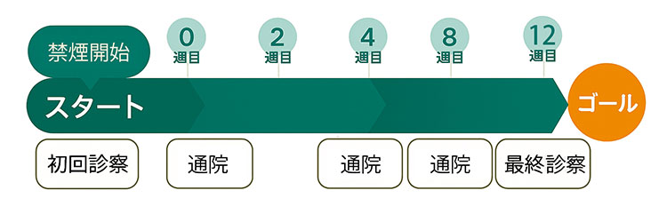 禁煙外来の流れ（チャンピックス）